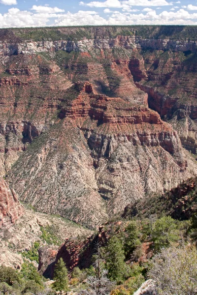 Grand canyon borda norte — Fotografia de Stock