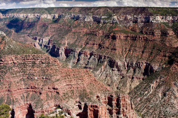 Grand canyon borda norte — Fotografia de Stock