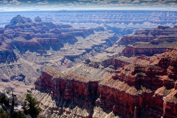 Luminoso Angel Canyon dal Grand Canyon North Rim — Foto Stock