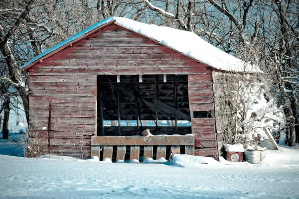 Granja en invierno — Foto de Stock
