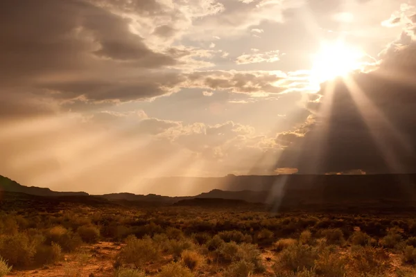 Puesta de sol sobre el desierto de Arizona Imagen de archivo