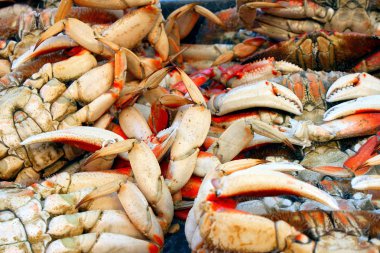 Fresh crab at the market clipart