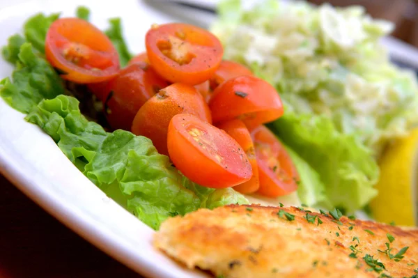 stock image Fresh tomatoes