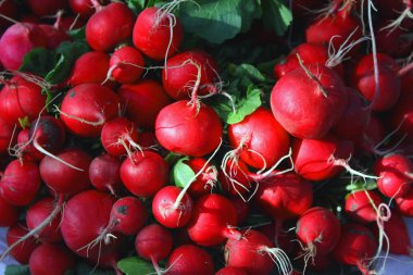 taze çekilmiş portakal