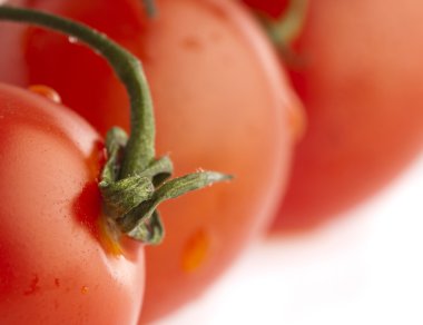 kiraz domates, closeup beyaz zemin üzerine