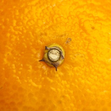 Bir mandalina turuncu dokusuna aşırı yakın çekim