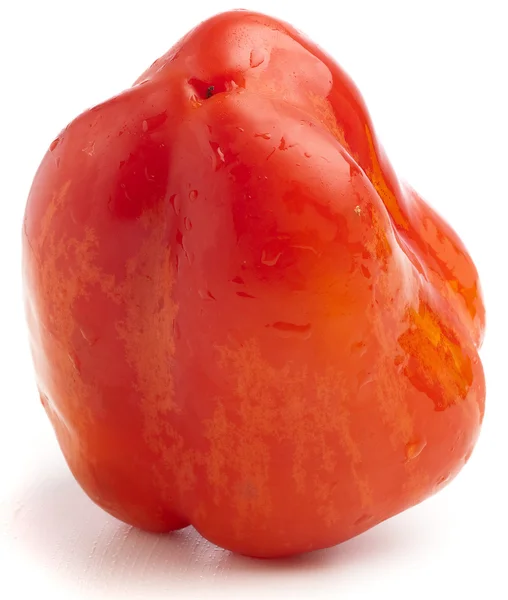 Rødt Pepper Isolert Hvit Bakgrunn – stockfoto