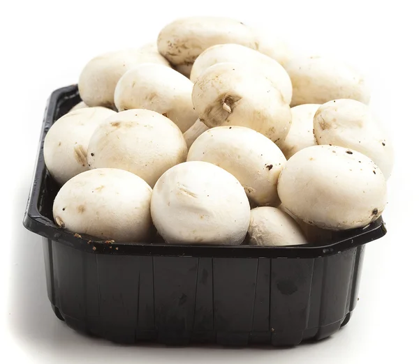 Pilha Cogumelos Isolado Fundo Branco — Fotografia de Stock