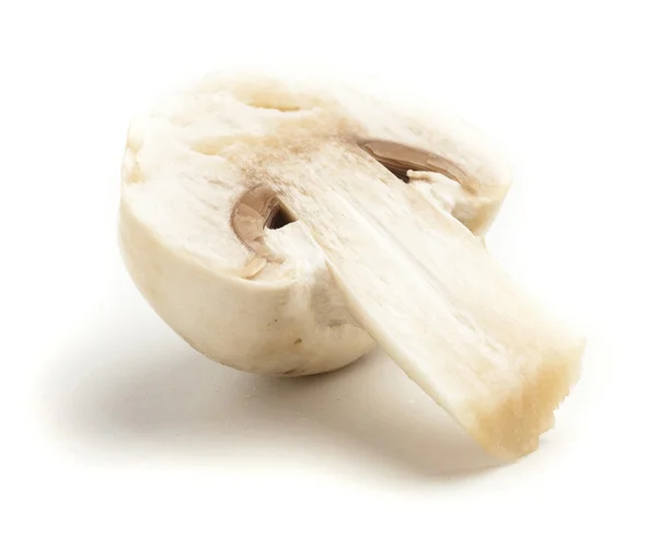 Single Mushroom Isolated White Background — Stock Photo, Image