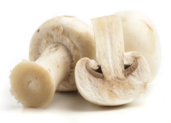Mushroom slices — Stock Photo, Image