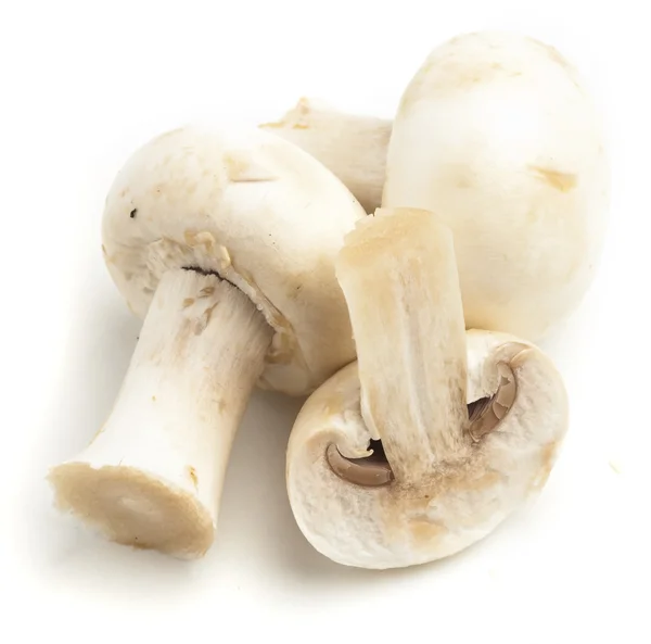 Fatias de cogumelos — Fotografia de Stock