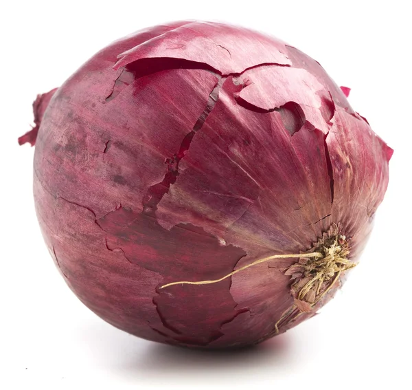Purple onion — Stock Photo, Image