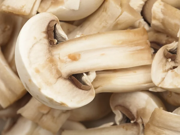 stock image Mushrooms