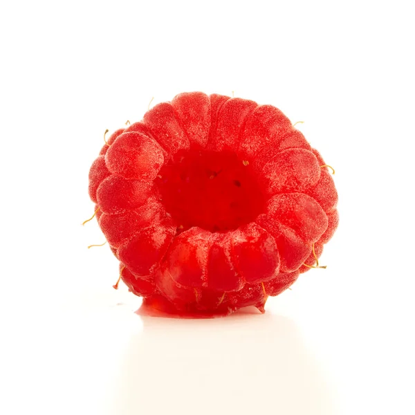 Raspberry Isolated White Background — Stock Photo, Image