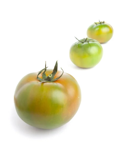 緑のトマト — ストック写真
