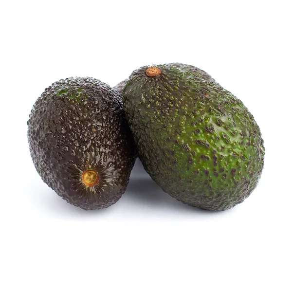 Avocado Isolated — Stock Photo, Image