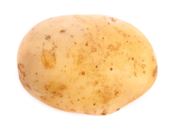 Izole patates — Stok fotoğraf