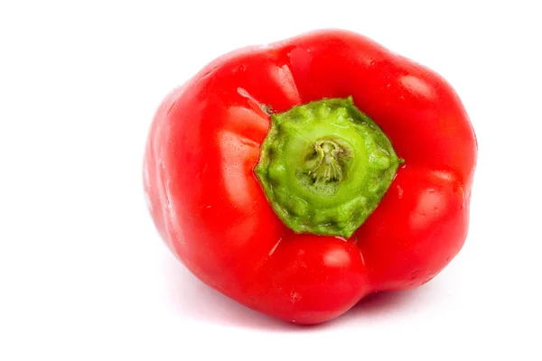 Red Pepper Isolated White Background — Stock Photo, Image