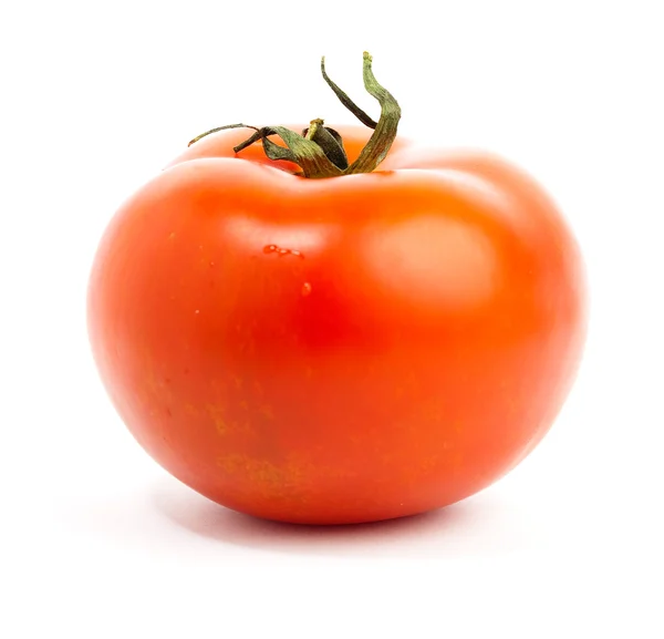 Rote Tomate Isoliert Auf Weißem Hintergrund — Stockfoto