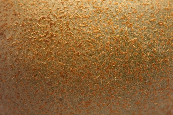 Čerstvé kiwi textura — Stock fotografie