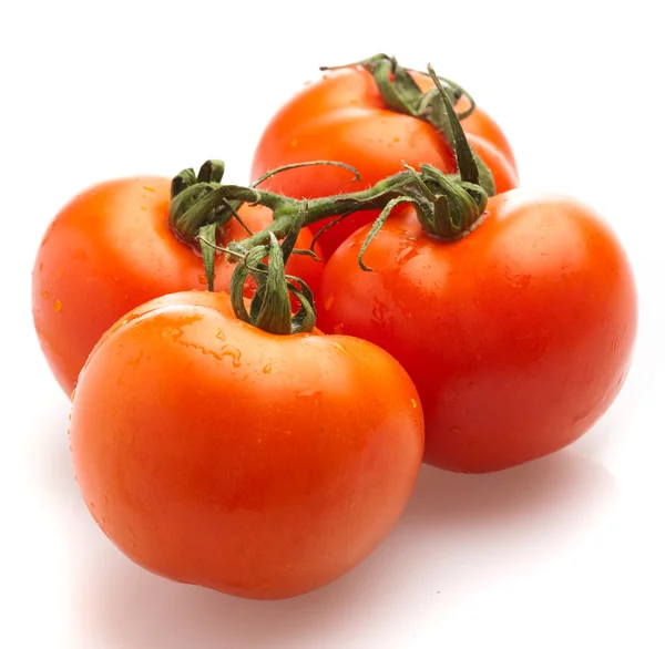 番茄樱桃 — 图库照片