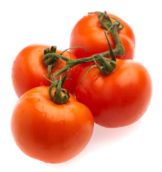Cerise Tomate Isolée Sur Fond Blanc — Photo