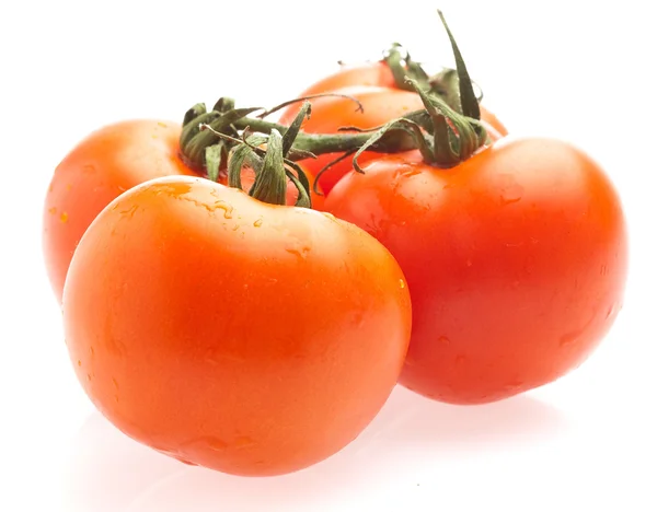 Cerise Tomate Isolée Sur Fond Blanc — Photo