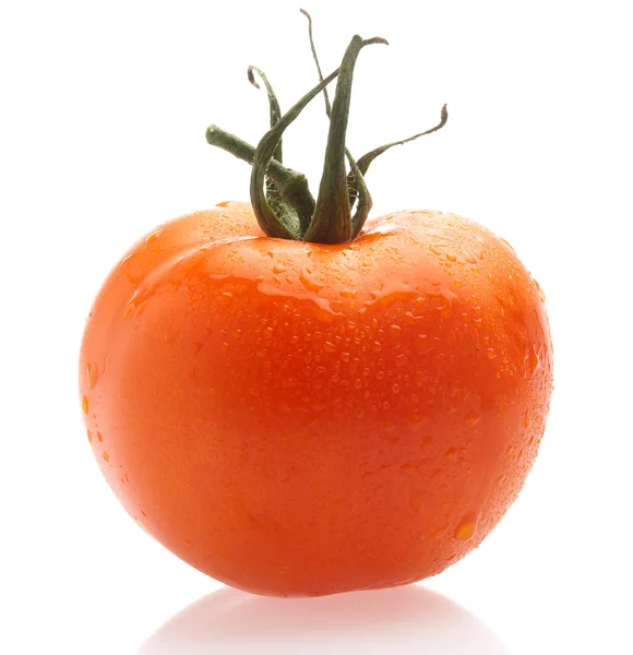 One Cherry Tomato White Background — Stock Photo, Image