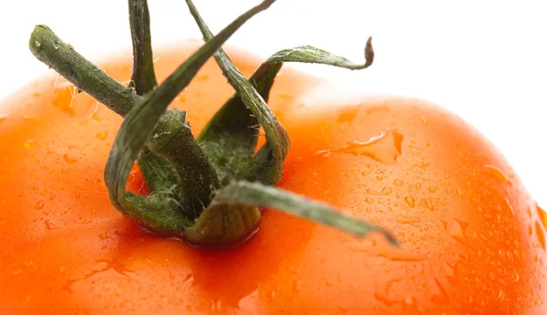 Gros Plan Tomate Cerise Sur Fond Blanc — Photo