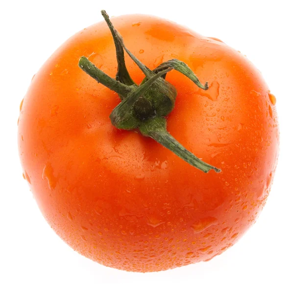 Satu Cherry Tomato Pada Latar Belakang Putih — Stok Foto