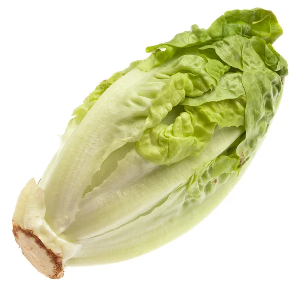 Fresh Lettuce Isolated White Background — Stock Photo, Image