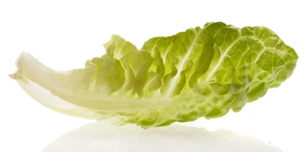 Fresh Lettuce Isolated White Background — Stock Photo, Image
