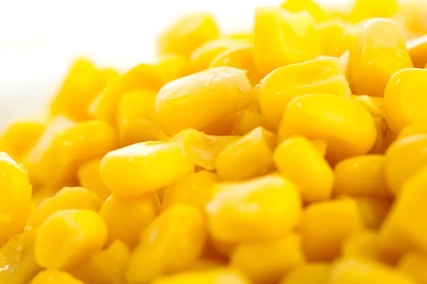 Closeup Corn — Stock Photo, Image
