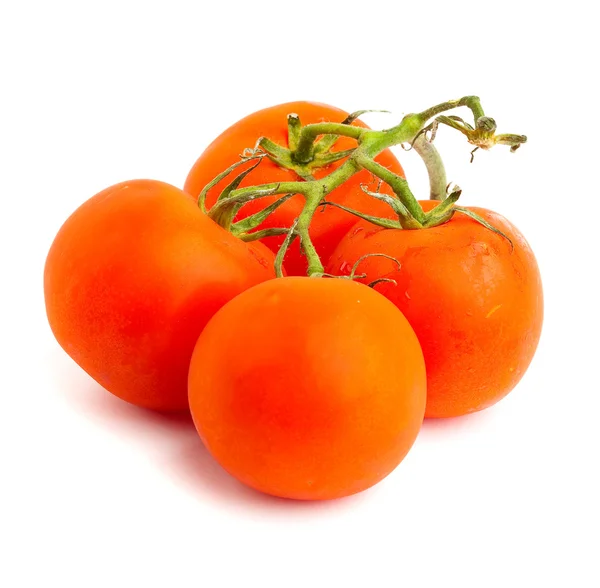 白色背景下的红色西红柿 — 图库照片