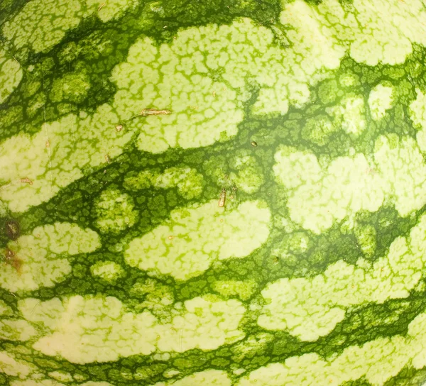 Watermeloen Textuur — Stockfoto