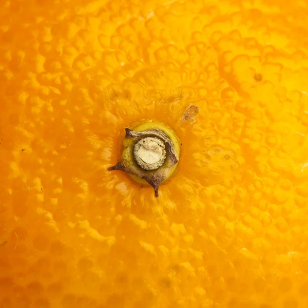 Extreme Closeup Mandarin Orange Texture — Stock Photo, Image