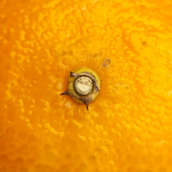 stock image extreme closeup of a mandarin orange texture