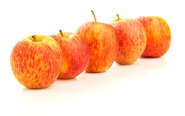 Kırmızı Elma — Stok fotoğraf