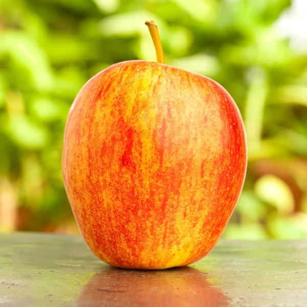 Червоне Яблуко Скибочки — стокове фото