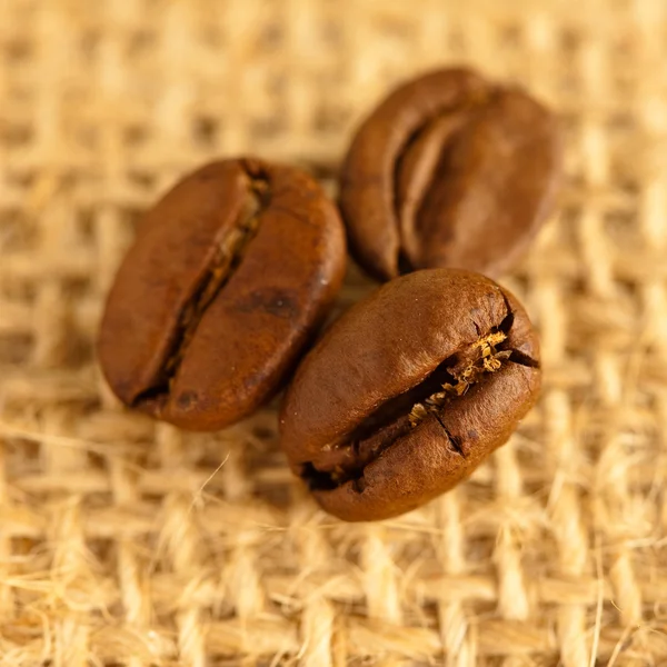 Кофейные Зерна — стоковое фото