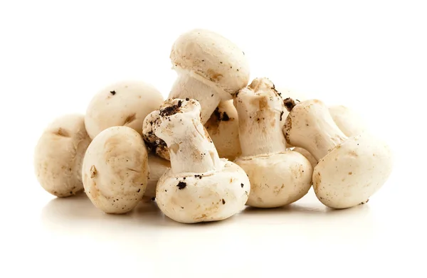 Pasta de cogumelos — Fotografia de Stock