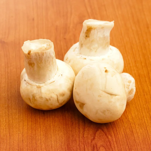 Cogumelos Isolados Sobre Fundo Madeira — Fotografia de Stock