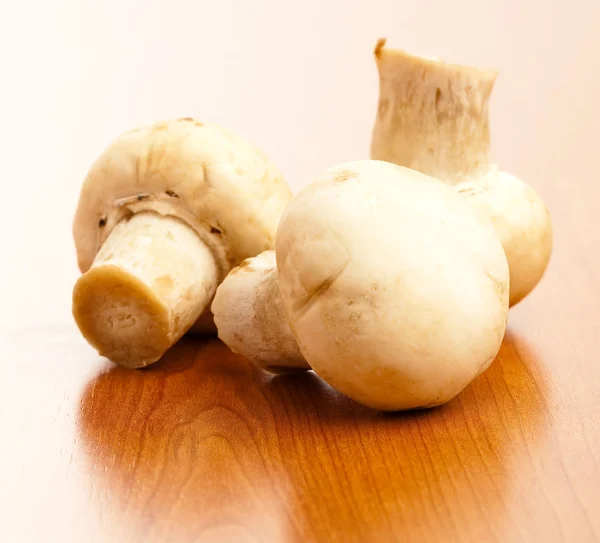 Mushroom on table — Stock Photo, Image