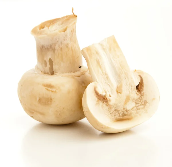 Cogumelos Isolados Sobre Fundo Branco — Fotografia de Stock