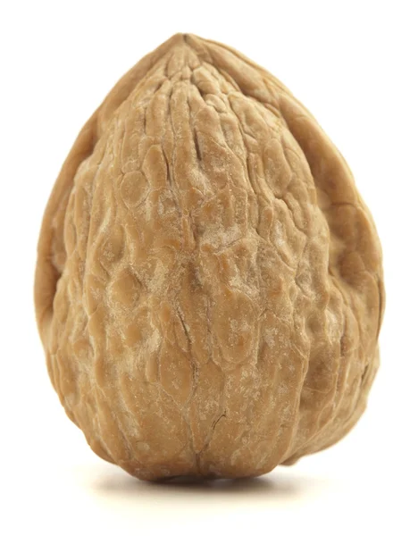 Wallnut — Stock Photo, Image