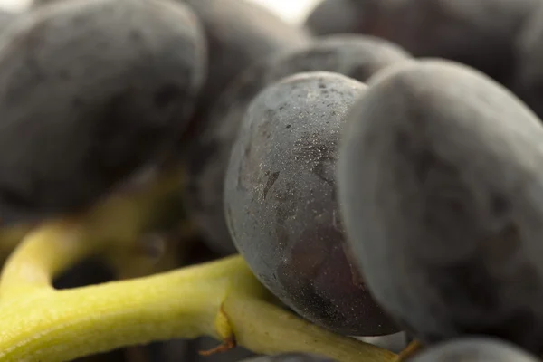 Black Grapes Closeup — Stock Photo, Image