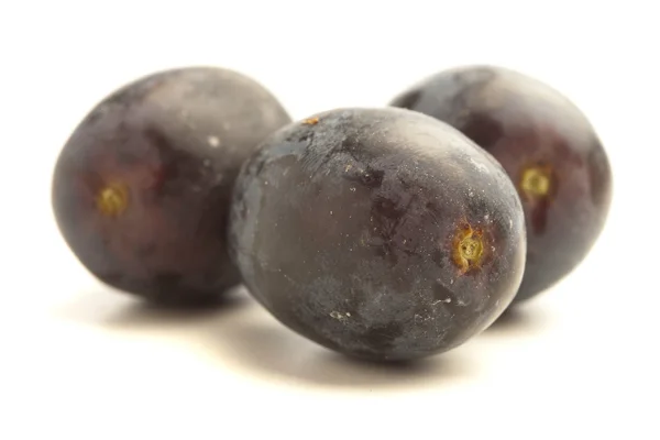 Black Grapes Isolated White Background — Stock Photo, Image