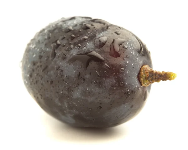 Fresh Black Grapes Isolated White Background — Stock Photo, Image