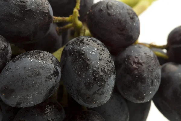 Skrajny Zbliżenie Czarnych Winogron Biały — Zdjęcie stockowe