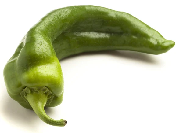 Ιταλική μακροχρόνιας πιπέρι απομονωθεί σε λευκό φόντο — Φωτογραφία Αρχείου
